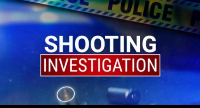 Three More Arrested Over Fatal Wattala Shooting